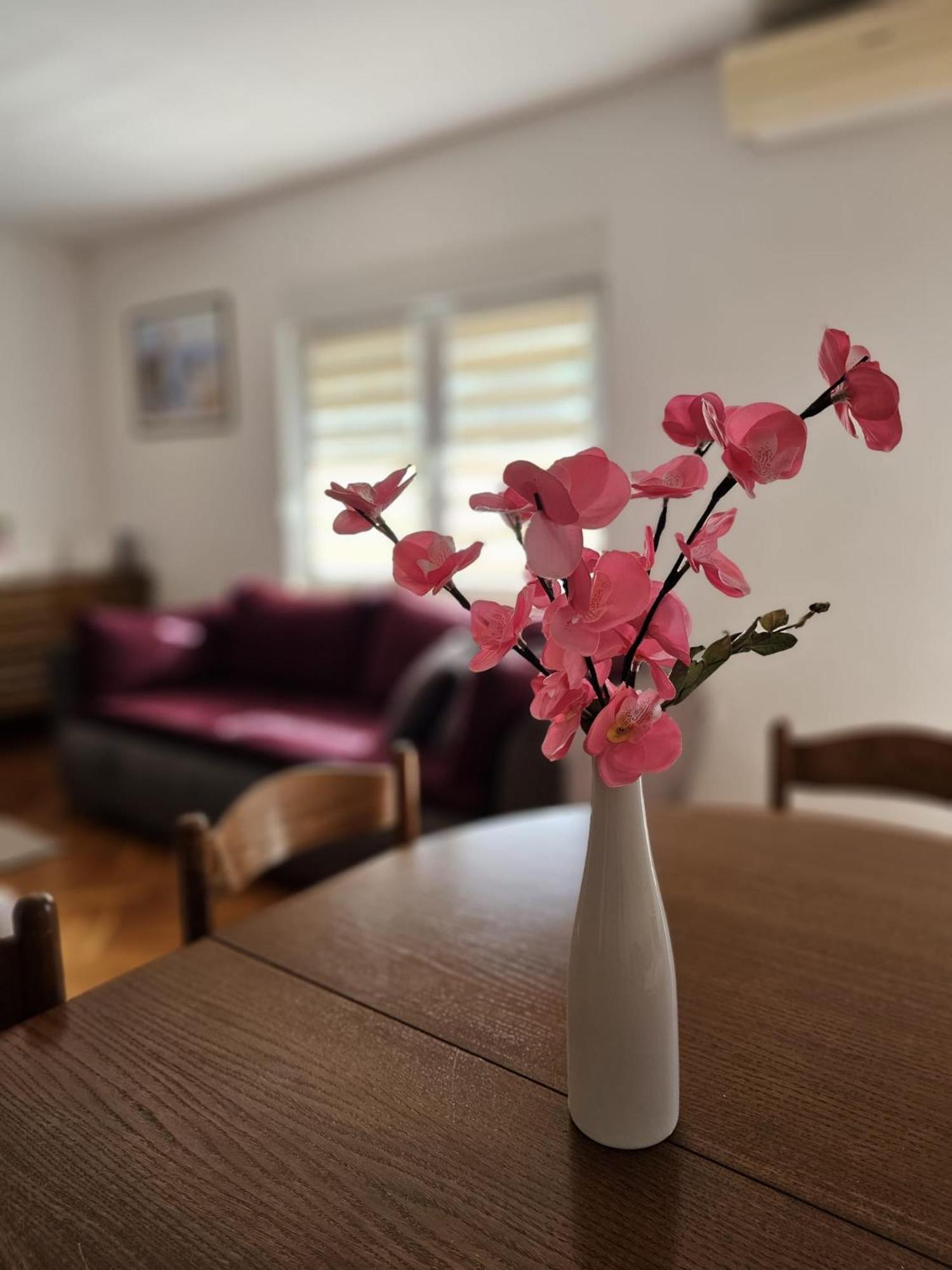 Apartment Vesna Podaca Dış mekan fotoğraf