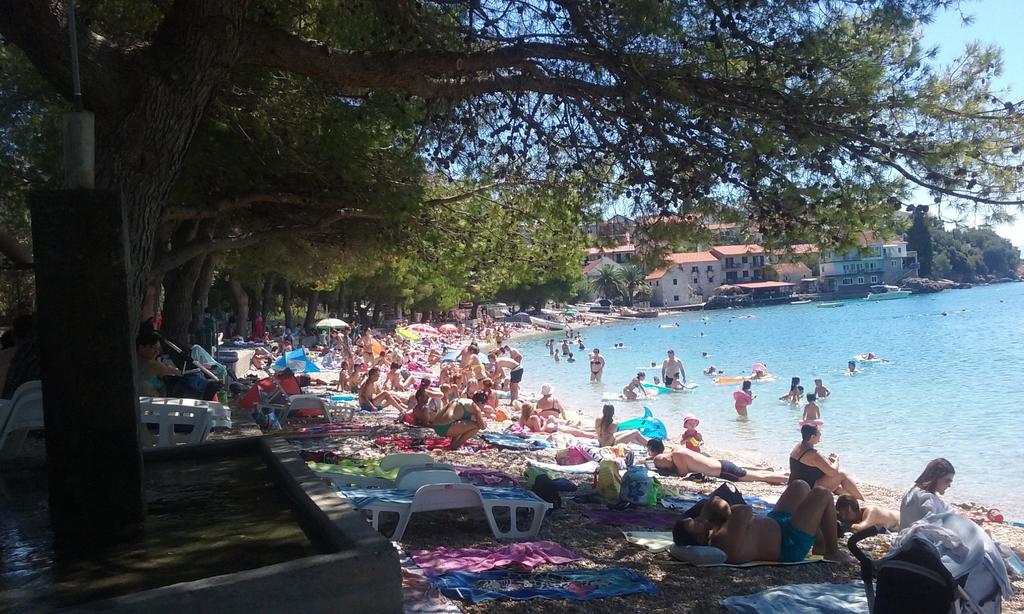 Apartment Vesna Podaca Dış mekan fotoğraf